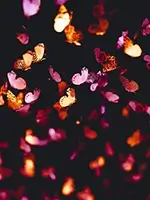 Loading preview image 3